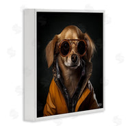 Roozbeh Bahramali | Stylish Dog on Black