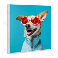 Roozbeh Bahramali | Stylish Dog on Blue