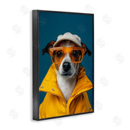 Roozbeh Bahramali | Trendy Dog Friend