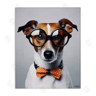 Roozbeh Bahramali | Hipster Bowtie Dog