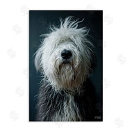 Roozbeh Bahramali | Shaggy Pup Portrait