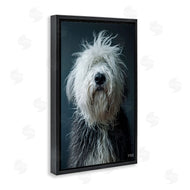 Roozbeh Bahramali | Shaggy Pup Portrait