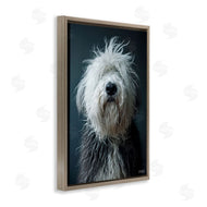 Roozbeh Bahramali | Shaggy Pup Portrait