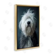 Roozbeh Bahramali | Shaggy Pup Portrait
