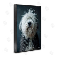 Roozbeh Bahramali | Shaggy Pup Portrait