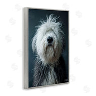Roozbeh Bahramali | Shaggy Pup Portrait