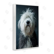 Roozbeh Bahramali | Shaggy Pup Portrait