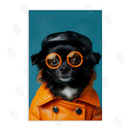 Roozbeh Bahramali | Trendy Fashion Dog