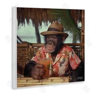 Roozbeh Bahramali | Tropical Vacation Monkey