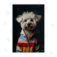 Roozbeh Bahramali | Terrier Dog with Windbreaker