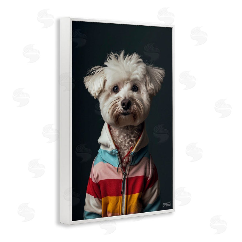 Roozbeh Bahramali | Terrier Dog with Windbreaker