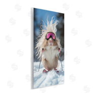 Roozbeh Bahramali | Skiing Guinea Pig