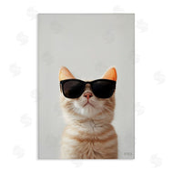 Roozbeh Bahramali | Cool Sunglasses Cat