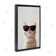 Roozbeh Bahramali | Cool Sunglasses Cat