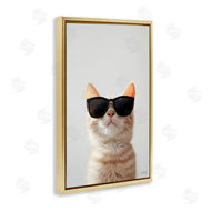 Roozbeh Bahramali | Cool Sunglasses Cat