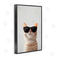 Roozbeh Bahramali | Cool Sunglasses Cat