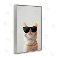 Roozbeh Bahramali | Cool Sunglasses Cat