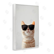 Roozbeh Bahramali | Cool Sunglasses Cat