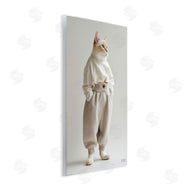 Roozbeh Bahramali | Trendy Fashion Cat