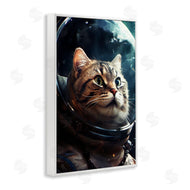 Roozbeh Bahramali | Amazed Astronaut Cat