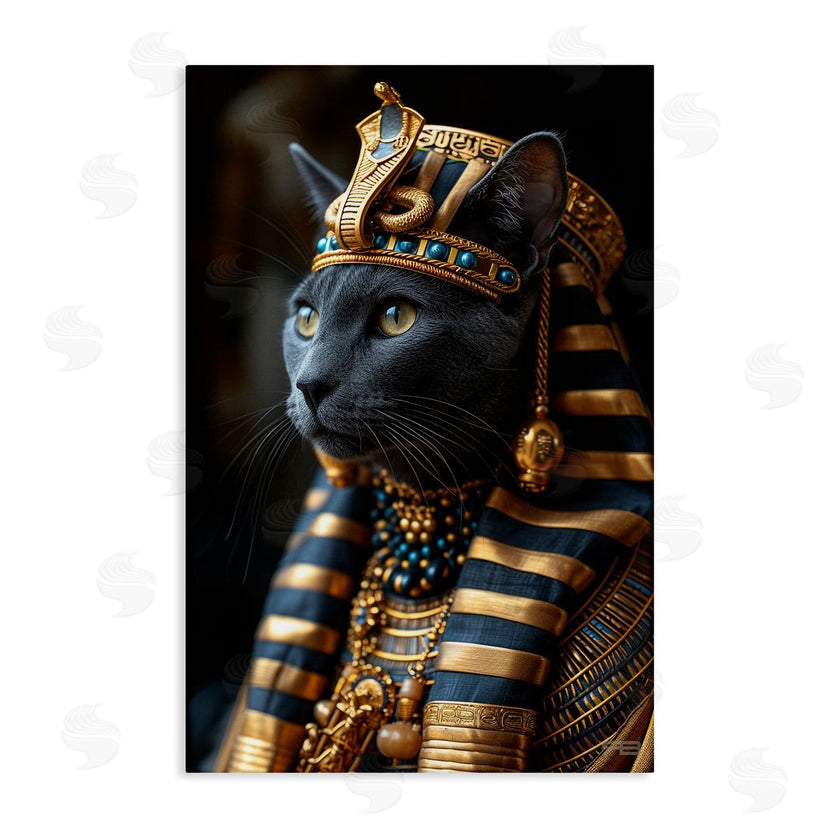Roozbeh Bahramali | Egyptian Pharaoh Cat