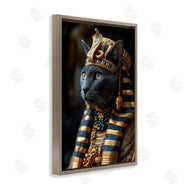 Roozbeh Bahramali | Egyptian Pharaoh Cat