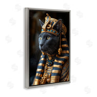 Roozbeh Bahramali | Egyptian Pharaoh Cat