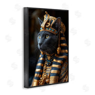 Roozbeh Bahramali | Egyptian Pharaoh Cat