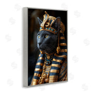 Roozbeh Bahramali | Egyptian Pharaoh Cat