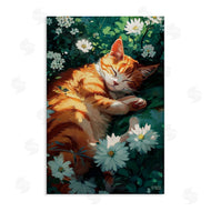 Roozbeh Bahramali | Cat Sleeping in Meadow