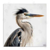 Roozbeh Bahramali | Stoic Heron Looking Right