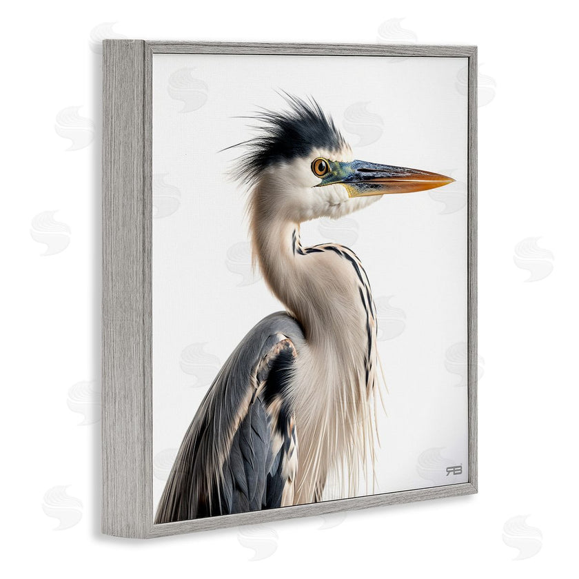 Roozbeh Bahramali | Stoic Heron Looking Right