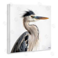 Roozbeh Bahramali | Stoic Heron Looking Right
