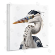 Roozbeh Bahramali | Stoic Heron Looking Left
