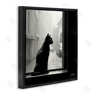 Roozbeh Bahramali | Cat Gazing Rainy Window