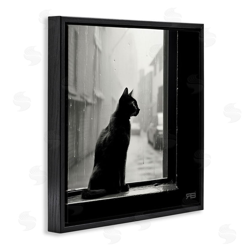 Roozbeh Bahramali | Cat Gazing Rainy Window