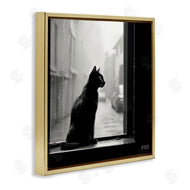 Roozbeh Bahramali | Cat Gazing Rainy Window