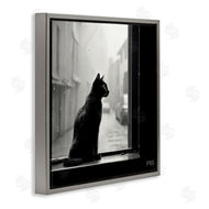 Roozbeh Bahramali | Cat Gazing Rainy Window