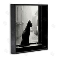 Roozbeh Bahramali | Cat Gazing Rainy Window