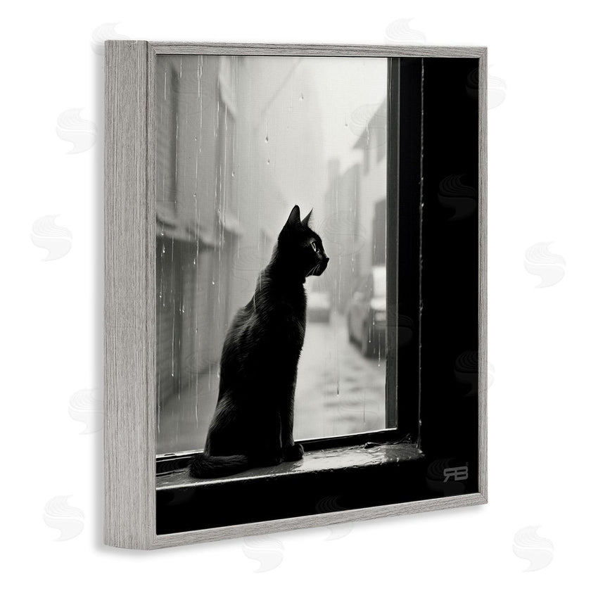 Roozbeh Bahramali | Cat Gazing Rainy Window