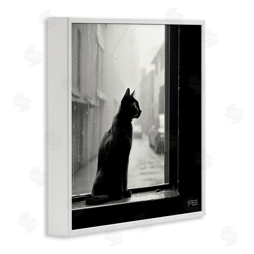 Roozbeh Bahramali | Cat Gazing Rainy Window
