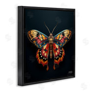 Roozbeh Bahramali | Vivid Patterned Moth