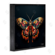 Roozbeh Bahramali | Vivid Patterned Moth