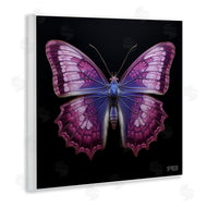 Roozbeh Bahramali | Vivid Purple Butterfly
