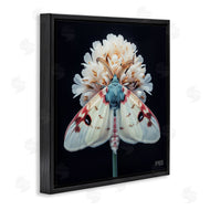 Roozbeh Bahramali | Moth and White Flowers