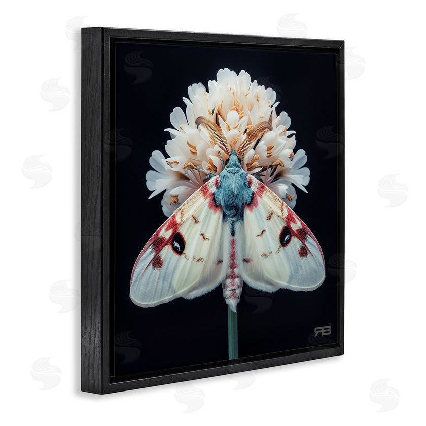 Roozbeh Bahramali | Moth and White Flowers