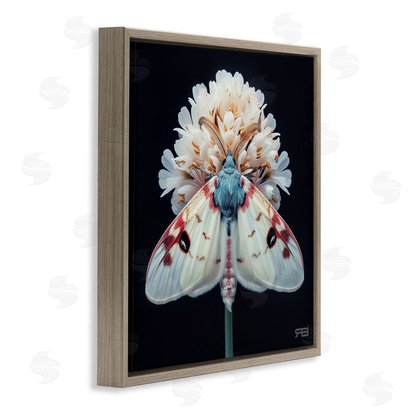 Roozbeh Bahramali | Moth and White Flowers