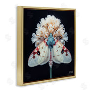 Roozbeh Bahramali | Moth and White Flowers