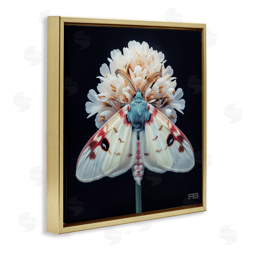 Roozbeh Bahramali | Moth and White Flowers