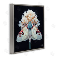 Roozbeh Bahramali | Moth and White Flowers
